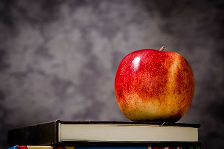 settori di hasl che promuove per effettuare corsi di formazione per la scuola