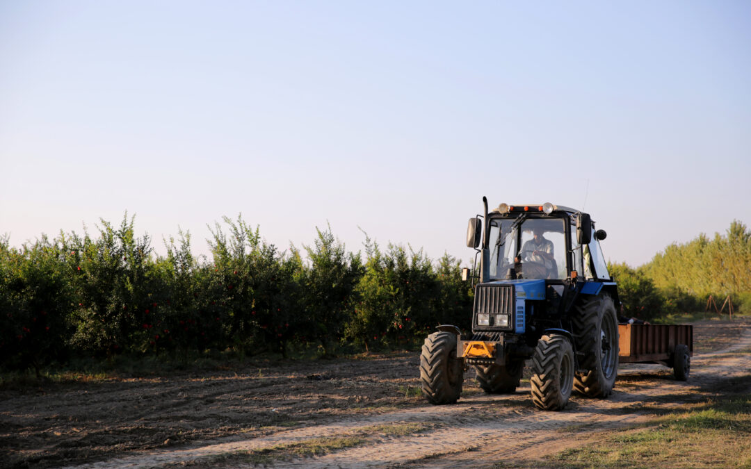 Corso Trattori Agricoli e Forestali: Ottieni il Patentino in sole 8 ore!